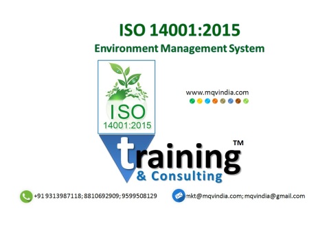 ISO 14001Consultancy and training8