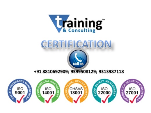 ISO 14001 Certification Consultant (1)
